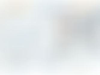 MADS : Fresque en Facilitation Graphique (07/09/21)