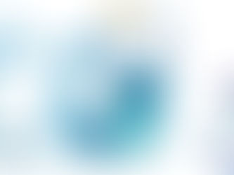 European Microfinance Network : Facilitation Graphique de la conférence Annuelle