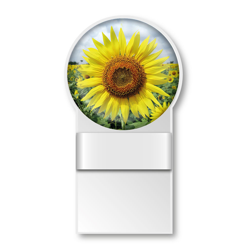 Thumbnail: Specmate Sunflower