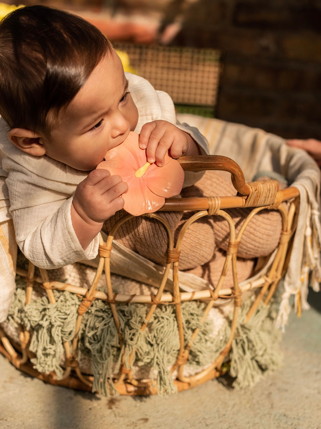 Oli&Carol graužammanta bērniem IRIS THE HIBISCUS