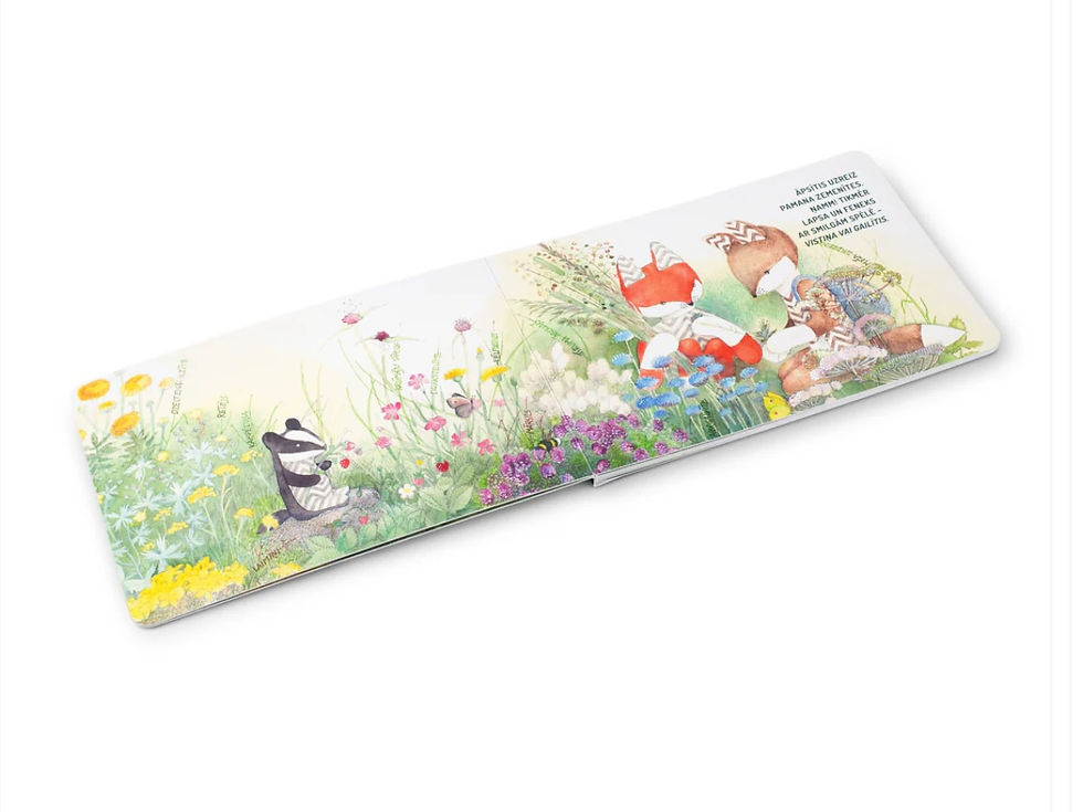 Sīktēls: TUTAS LIETAS kartona bilžu grāmata bērniem LAPSA PĻAVĀ