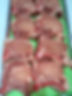 14390624_1789027531382736_863015136511032607_n.jpg