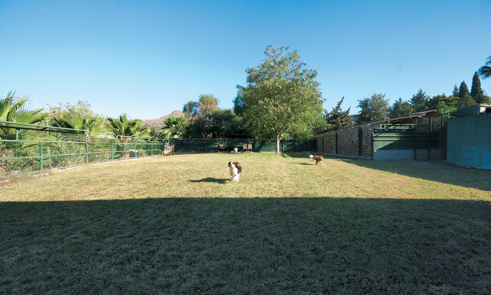 Köpek Oteli Bodrum Countryranch