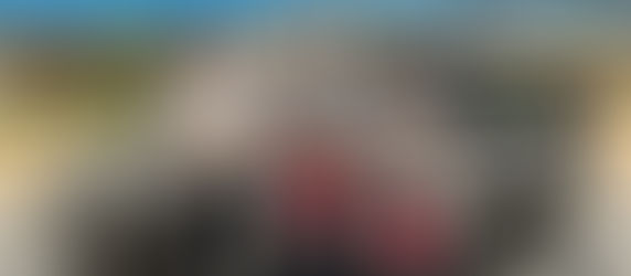 銀河工程集團義工隊 參與由義務工作發展局舉辦「港島區賣旗日」