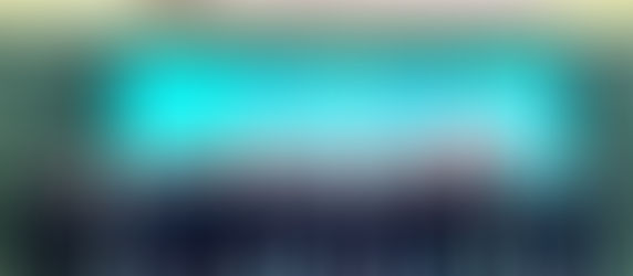 出席香港海關學員結業會操