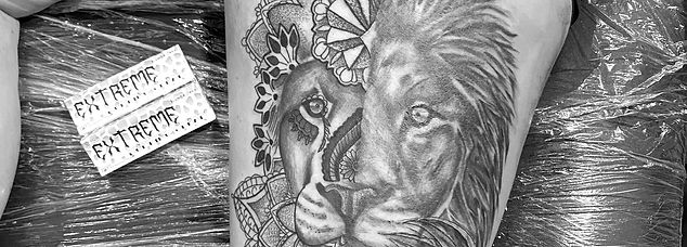 5c0e4f49-5c2c-415a-8bad-9ad656cdeb30-mk3