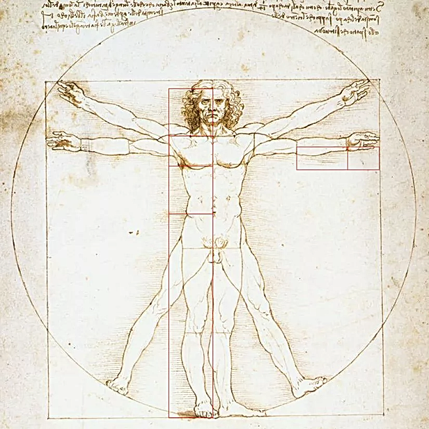 Vitruvian-Man-Da-Vinci_webp.webp
