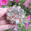 Thumbnail: Orgonite Bloemvorm Box - 1