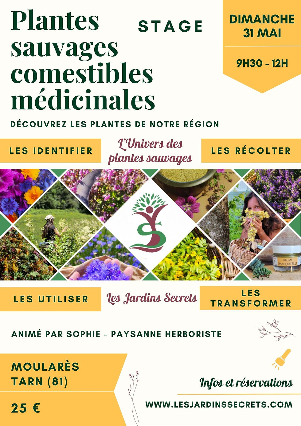 Stage Plantes sauvages