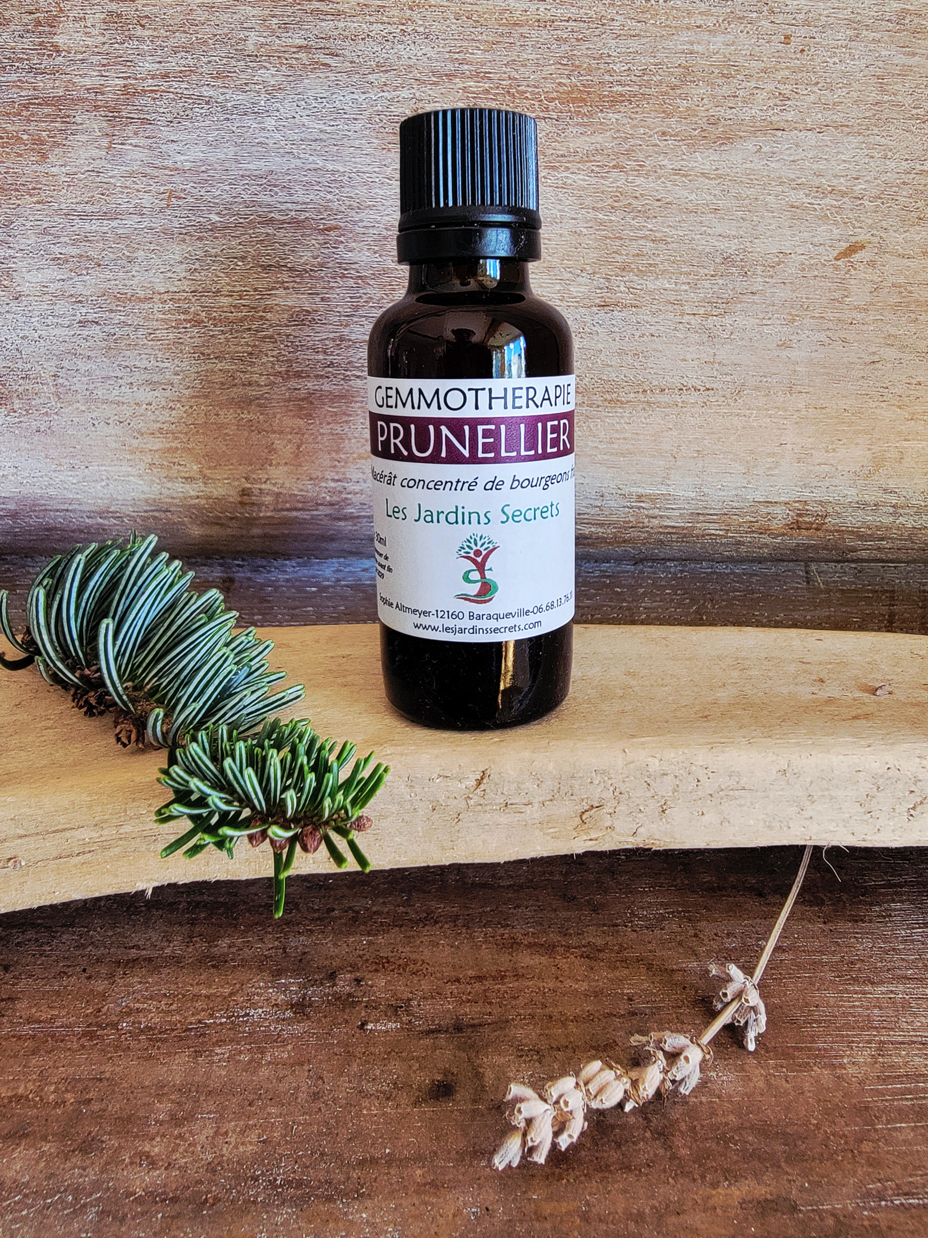 Gemmothérapie PRUNELLIER