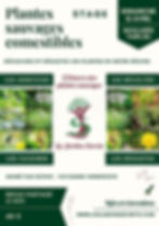 Stage Plantes sauvages comestibles 