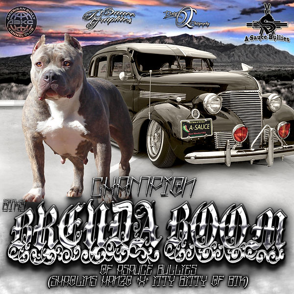 brenda boom flyer.jpg
