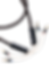 G1.png