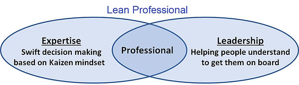 Lean Professional Model