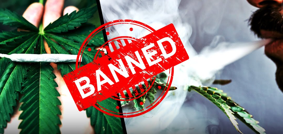 📘 How to Open a Legal Cannabis Business in Thailand (Updated 2025 Guide)