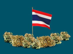 Thailand’s 2025 Cannabis Law: Prescription Only, Recreational Ban Enforced
