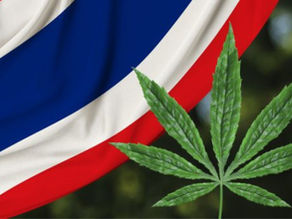 Thailand reverses course on decriminalized marijuana” from the Washington Post offers a strong policy-focused narrative on how the new prescription-only rules came about
