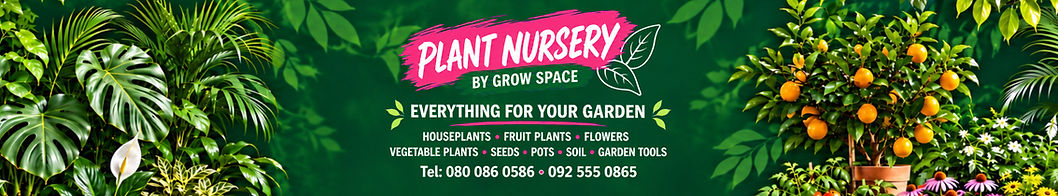 Plants nursery bangkok phrakanong pridi on nut
