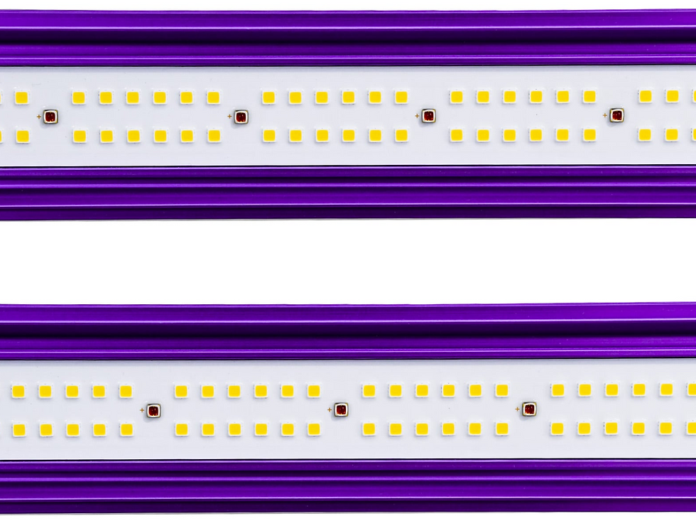 ภาพขนาดย่อ: LUMATEK ZEUS 600W PRO 2.9 grow light