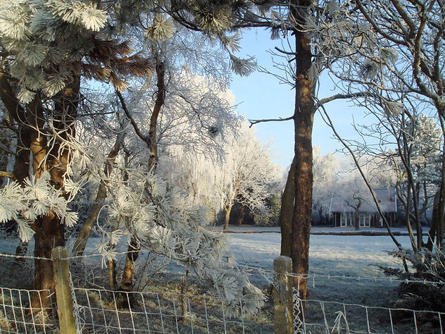 Holiday Cottage Jan Toorop in wintertime
