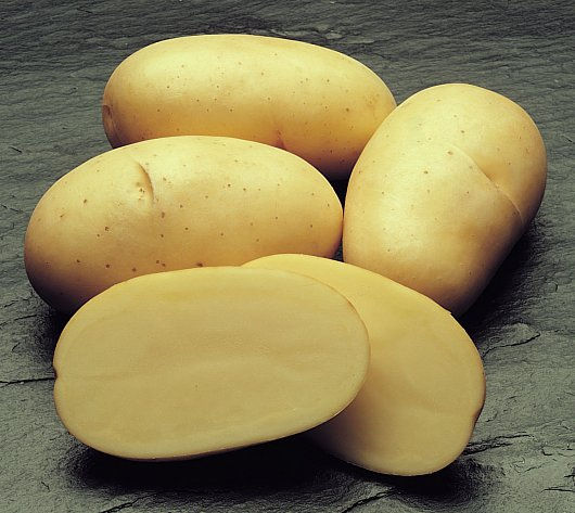 Papas