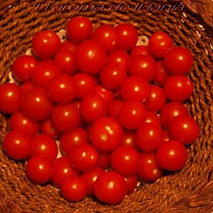 Tomate Cherry