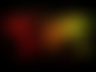 ,,Passport Bros'' - Die neue Bewegung - Gut oder Schlecht? 