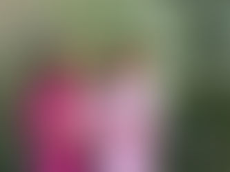 Qualitätsfrau vs Durchschnittsfrau: Eine Gegenüberstellung