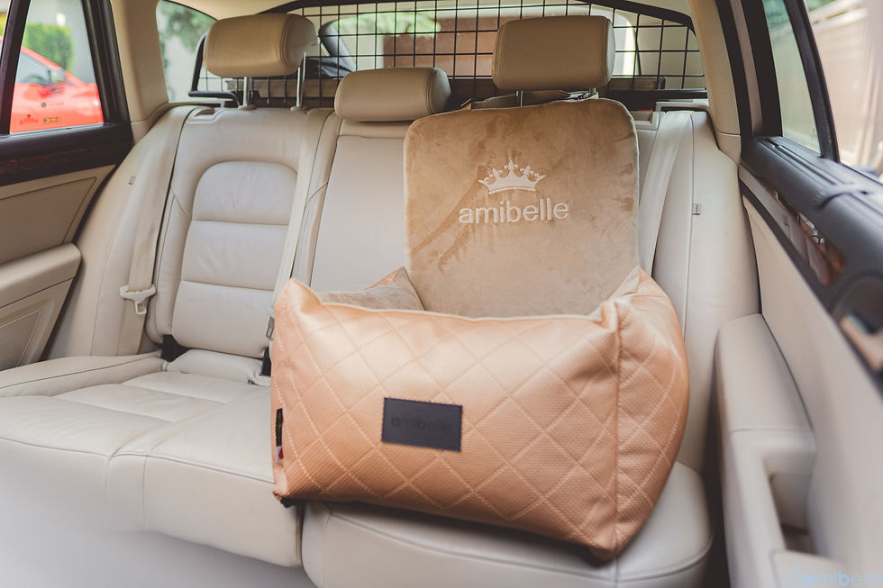 Miniaturbild: Hundesitz  Autokörbchen Hundeautositz Autositz Bella Gold
