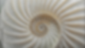 Bildschirmfoto 2024-11-24 um 20.51.27.png