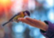 AdobeStock_137659059.jpeg