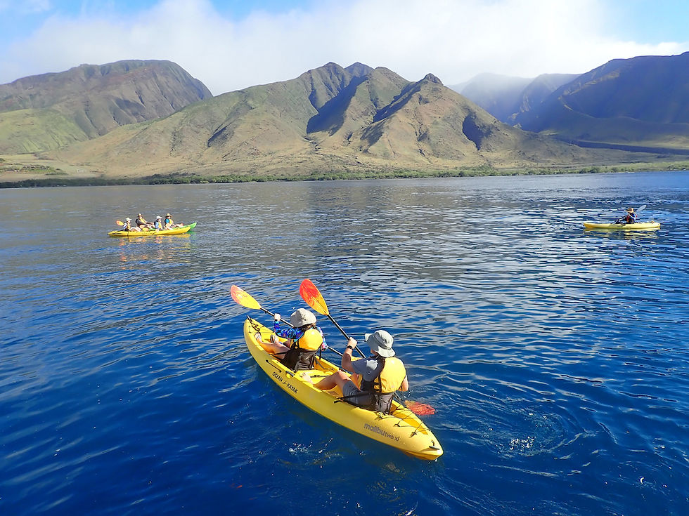 a group of kayakers in yellow kayaks on calm dark blue waters close to a dramatic coastline with mountains.
