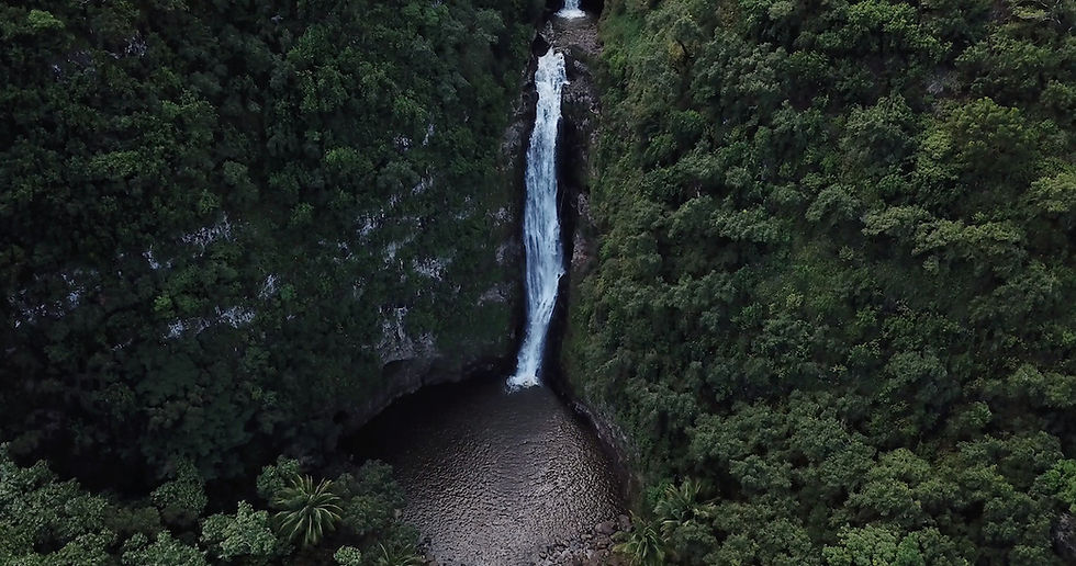 A tall waterfall cascades into a pool surrounded by lush, green foliage and cliffs, creating a serene and natural atmosphere. No text visible.