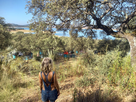 BOOM FESTIVAL 2022