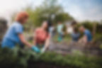 Planting garden.jpg
