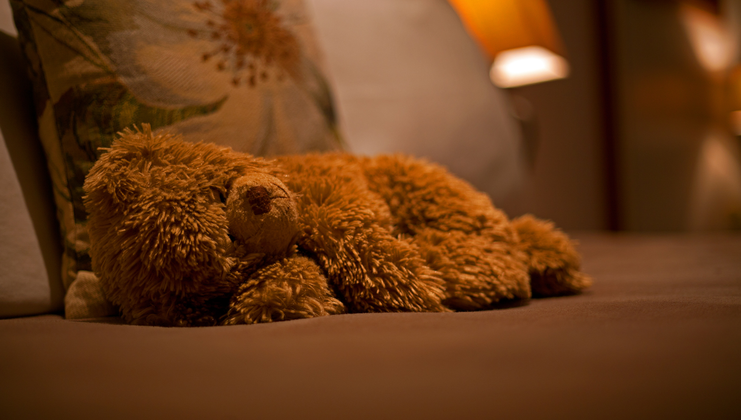 Sleeping Teddy Bear 1