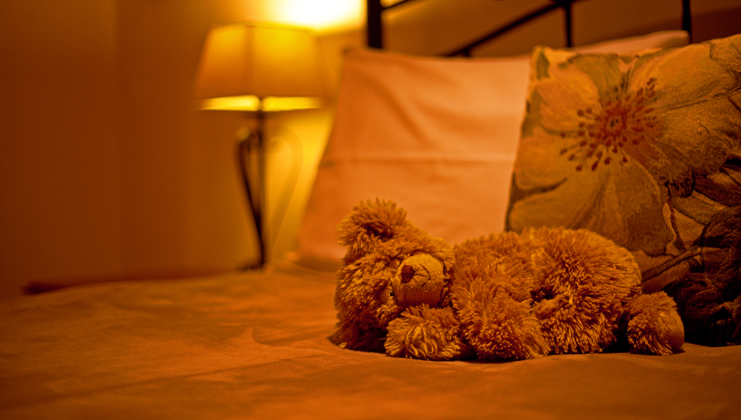 Sleeping Teddy Bear 3