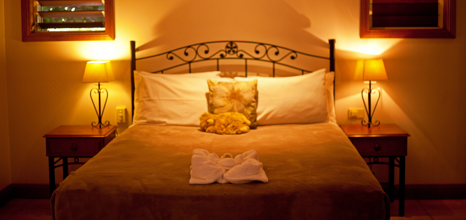 Bed and Sleeping Bear 1