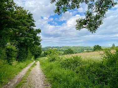 trail des 3 villages - parcours Villieu-Loyes-Mollon