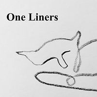 One Liners 6x6 300.jpg