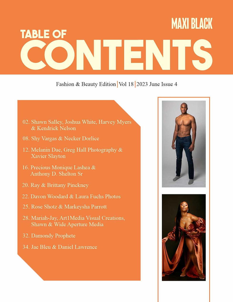 Thumbnail: Digital Vol 18 June Issue 4