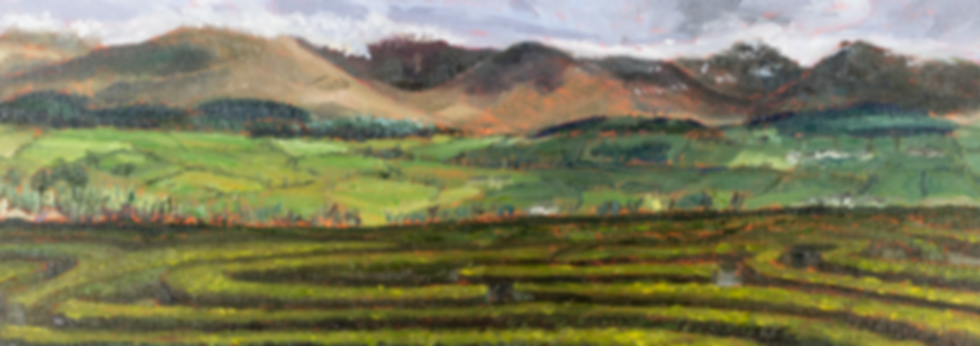 PeaceMaze-MourneMountains-Artist Prosen.png
