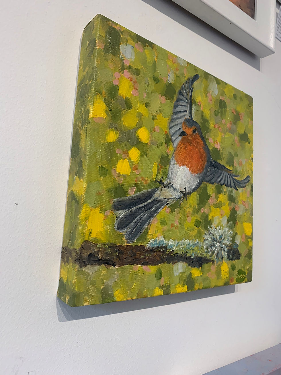 Thumbnail: Wings of Freedom - Robin in Flight
