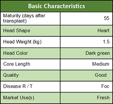 AB6063 Table.png