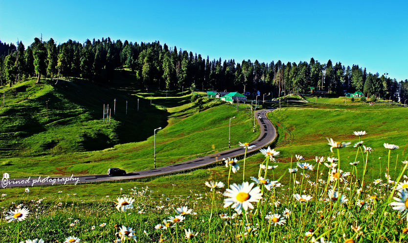 HIGH ON THE HIMALAYAS (MIDDLE WESTERN KASHMIR)