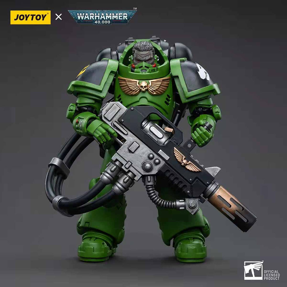 Thumbnail: [Back-to-Back Order] Joy Toy Warhammer 40k Salamanders Eradicators 1/18 Figure
