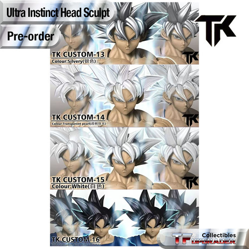 t*a様 Project Dragon Cap Stash Futura Hec Capsule Corp Stash Containers - Improper Engineering