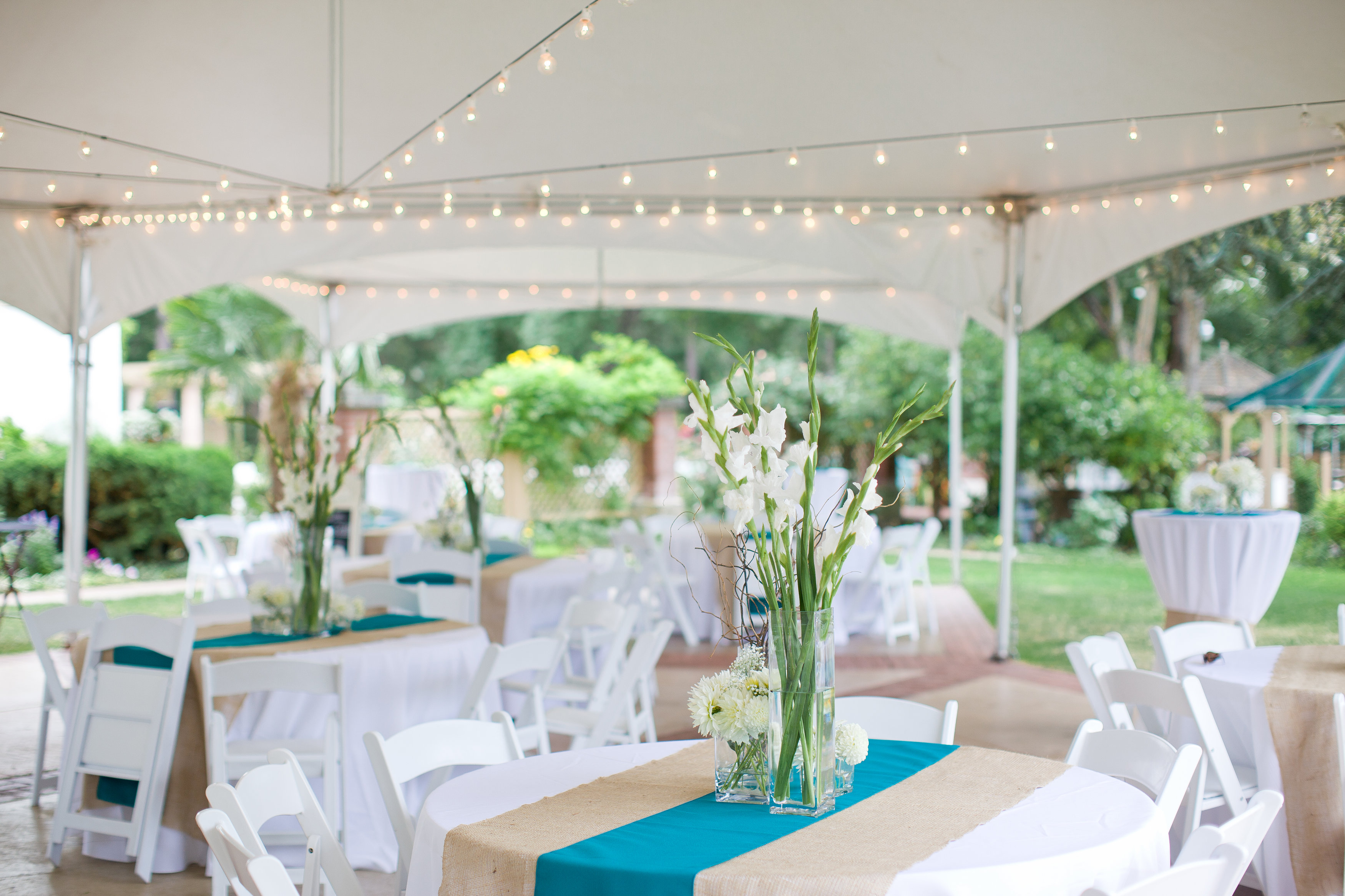 Local Bellingham Wedding Photos