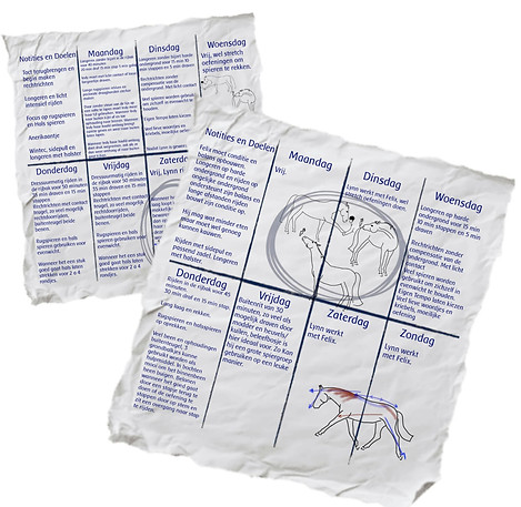 WhatsApp Image 2026-01-09 at 17.58.00.jpeg