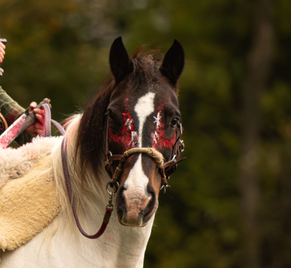 _F103542-Edit-Bracha_edited